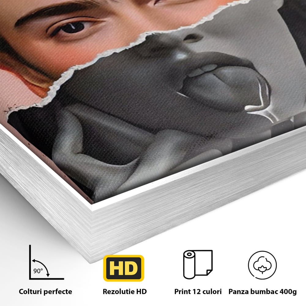 Detaliu al suprafetei: tablou canvas cu portret collage, in rama de aluminiu argintiu